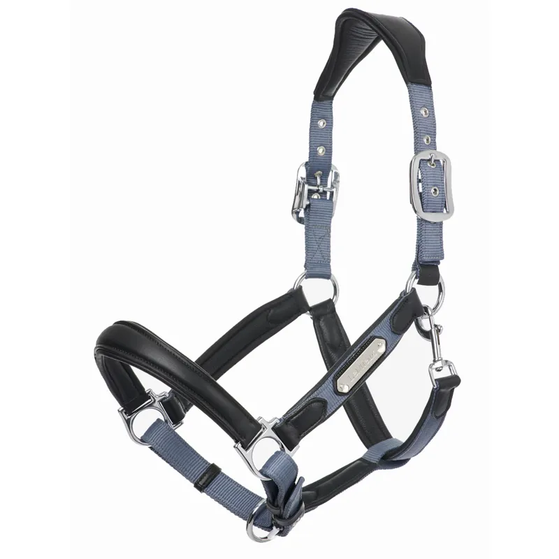 LeMieux Capella Headcollar - Jay Blue